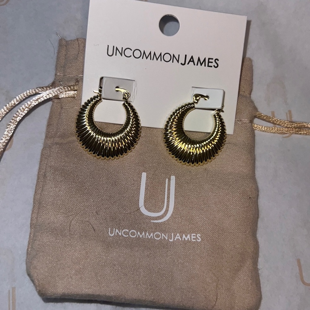 Uncommon James small hoop earrings